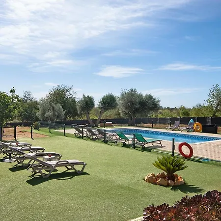 Assumadas * Ferreiras