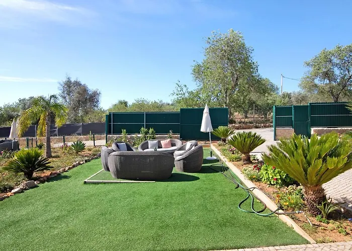 Assumadas * Ferreiras